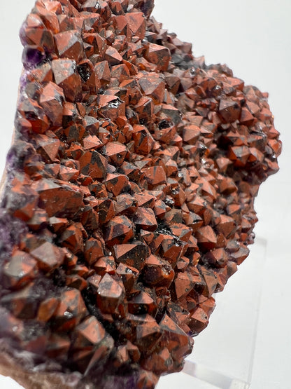Auralite Crystal Specimen. Very Rare Brazilian Red Amethyst Cluster. Beautiful High Quality Specimen.