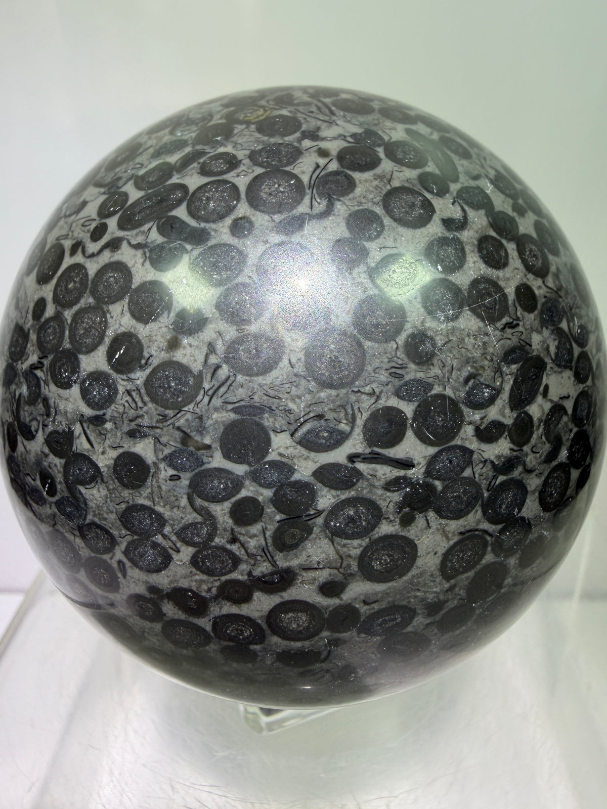 Leopardskin Jasper Sphere. 79mm. Gorgeous And Realistic Leopard Cheetah Patterns. Very Pretty Display Crystal