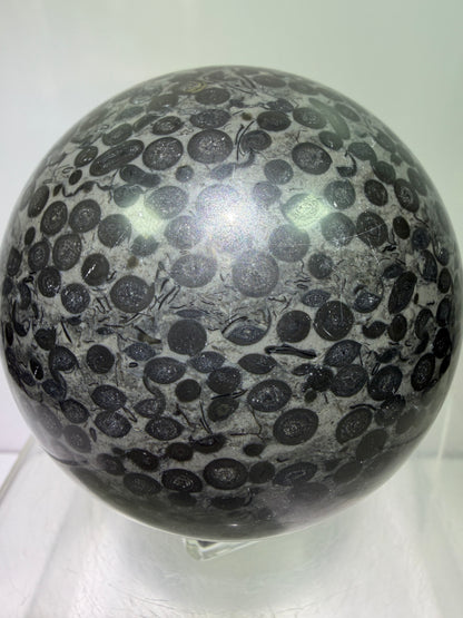 Leopardskin Jasper Sphere. 79mm. Gorgeous And Realistic Leopard Cheetah Patterns. Very Pretty Display Crystal