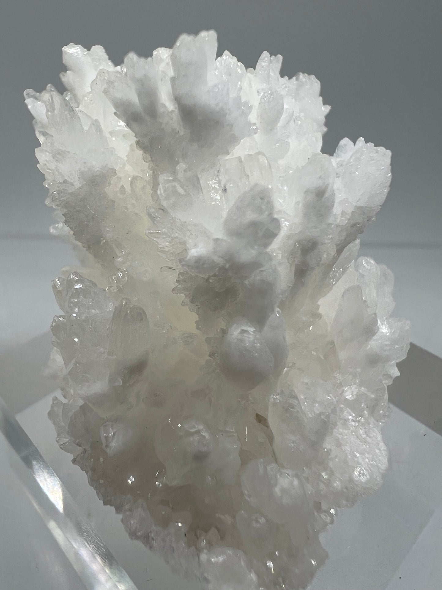 White Aragonite Crystal Specimen. Amazing Cave Calcite From Mexico.