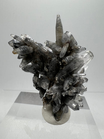 Veracruz Black Phantom Quartz Specimen. New Discovery From Mexico. Very Rare And Limited Collectors Piece. Stunning Display Crystal.