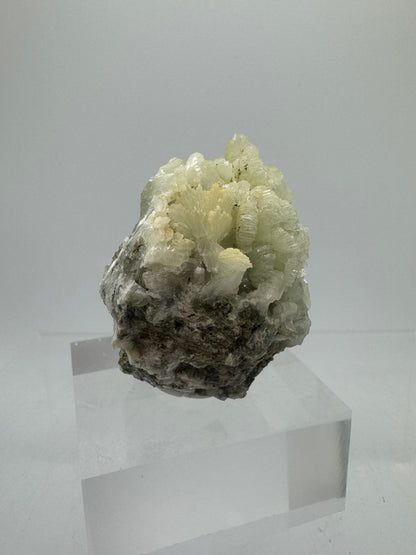 Prehnite Specimen From Morocco. Stunning Light Green Crystal Clusters. Gorgeous Mineral Display