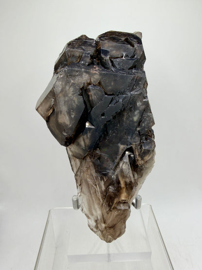 Elestial Quartz Specimen. High Quality Smoky Quartz Cluster. Amazing Colors, Excellent Windows, And Gorgeous Rainbows!