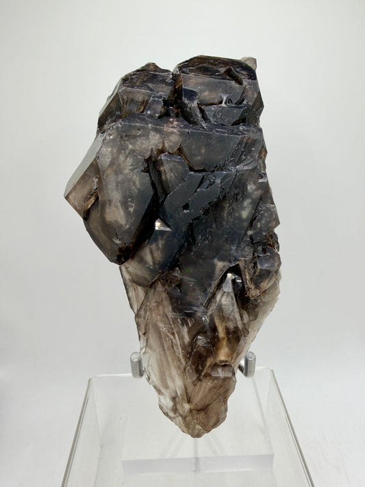 Elestial Quartz Specimen. High Quality Smoky Quartz Cluster. Amazing Colors, Excellent Windows, And Gorgeous Rainbows!