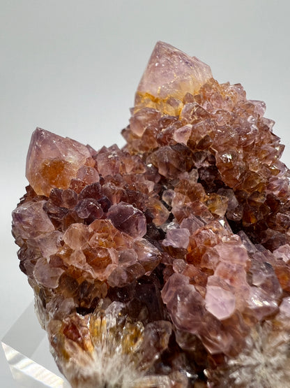 Spirit Quartz Cluster. Amazing Colors With Limonite Inclusions. Beautiful Ametrine Cactus Quartz, Fairy Quartz From South Africa.