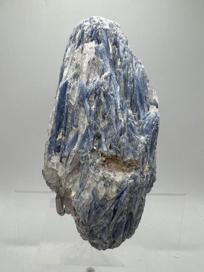 Kyanite And Quartz Mineral Specimen. Beautiful Raw Blue Kyanite Cluster.