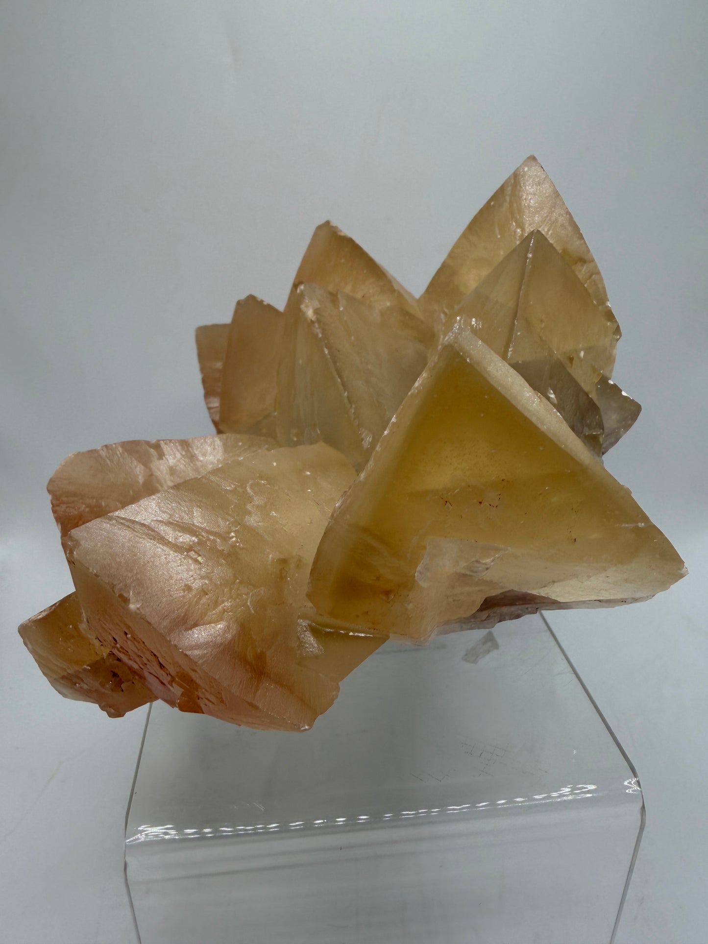 Mariposa Butterfly Calcite Cluster. Large Beautiful Calcite From Mexico. Fantastic High Quality Mineral Specimen