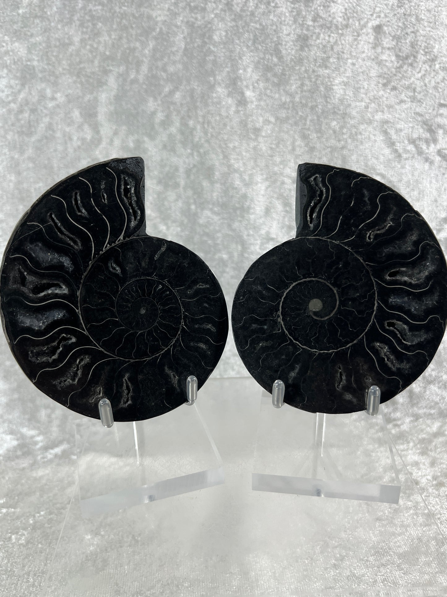 Black Ammonite Display Pair. Gorgeous Rare Fossil Specimen From Madagascar. Split And Polished With Amazing Druzy.