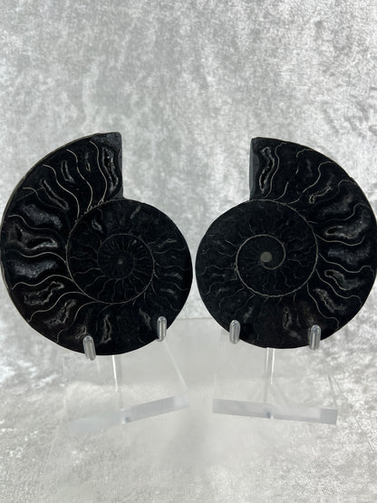 Black Ammonite Display Pair. Gorgeous Rare Fossil Specimen From Madagascar. Split And Polished With Amazing Druzy.