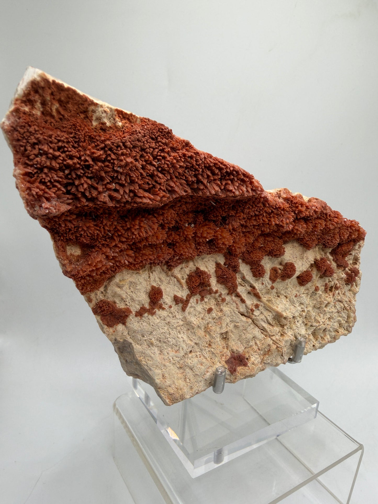 Orange Red Dogtooth Calcite Specimen. Stunning Dogtooth Flower Clusters. High Quality Rare Specimen