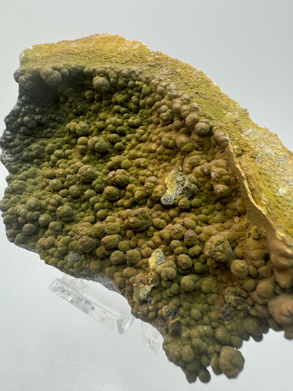 Mottramite Crystal Specimen. From The Famous 2011 Mexico Discovery. Top Quality Mineral Specimen. Very Rare Must Have For Any Collector.