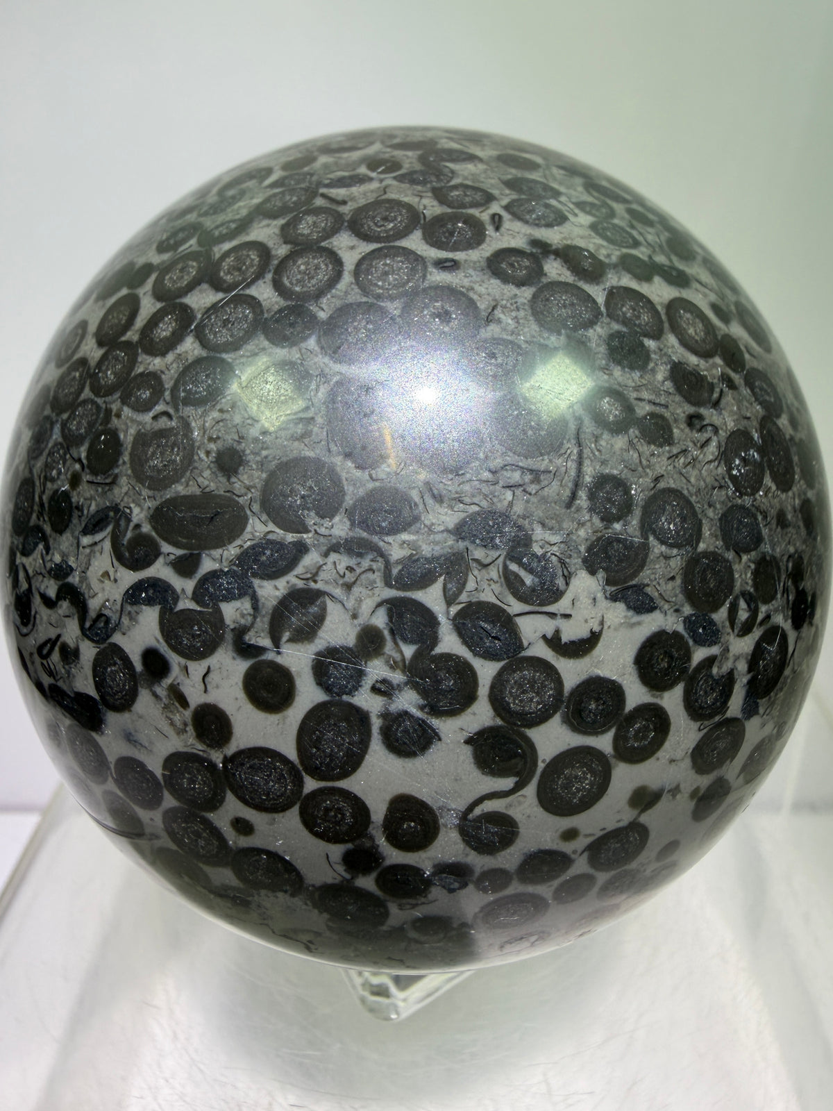 Leopardskin Jasper Sphere. 79mm. Gorgeous And Realistic Leopard Cheetah Patterns. Very Pretty Display Crystal