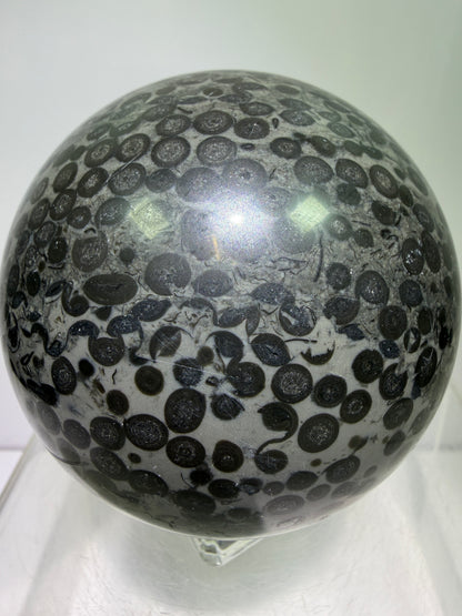 Leopardskin Jasper Sphere. 79mm. Gorgeous And Realistic Leopard Cheetah Patterns. Very Pretty Display Crystal