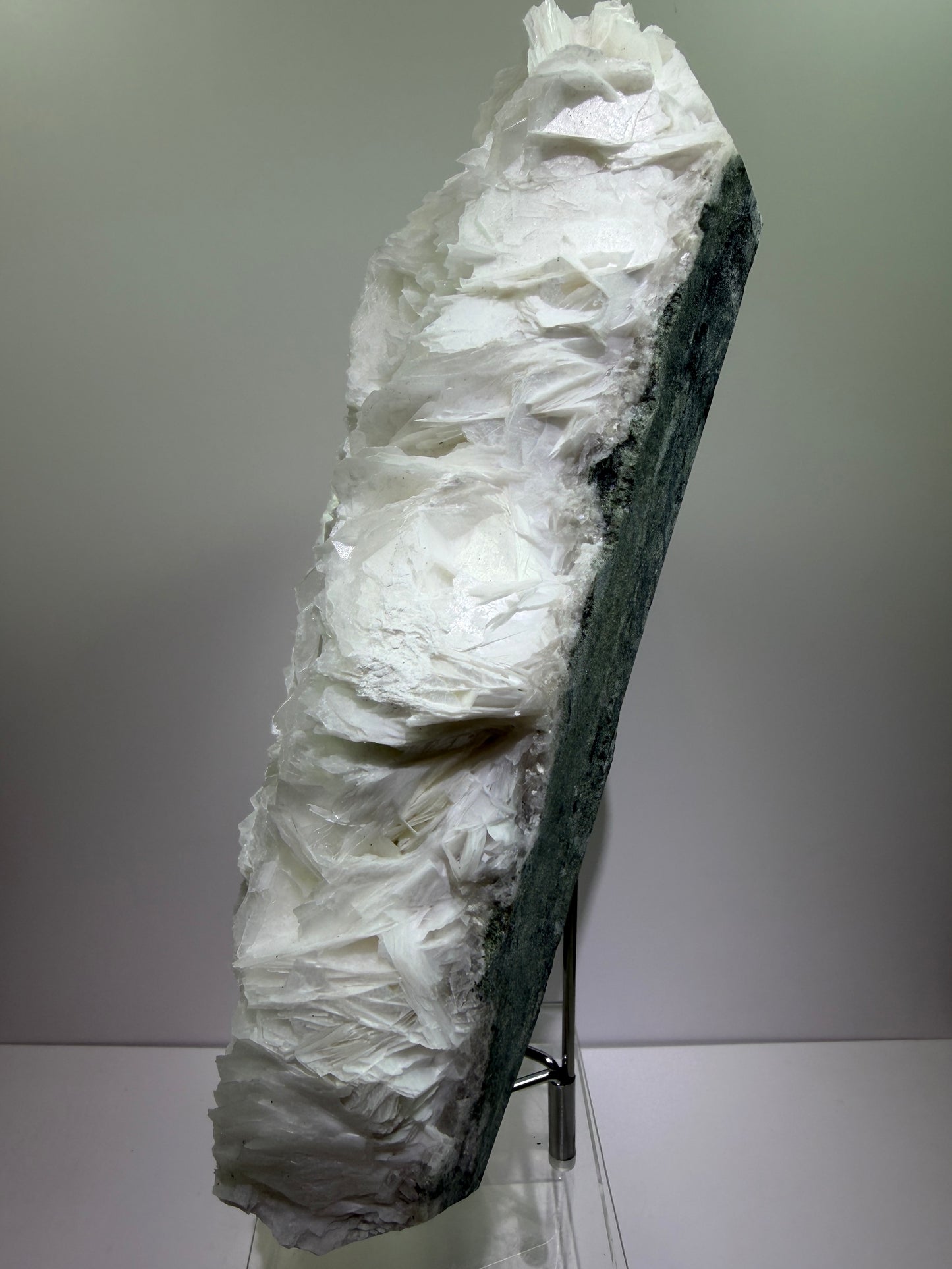 White Rose Bladed Calcite. Extra Large Angel Wing Calcite Specimen. High Quality UV Statement Piece.