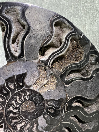 Black Ammonite Display Pair. Extra Large Rare Fossil Specimen From Madagascar. Split And Polished With Amazing Druzy.