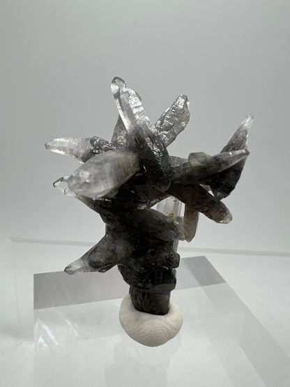 Veracruz Black Phantom Quartz Specimen. New Discovery From Mexico. Very Rare And Limited Collectors Piece. Stunning Display Crystal.