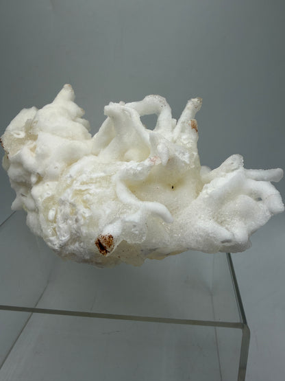 Calcite Helectite Crystal Specimen. Rare Amazing Cave Calcite Formation. High Quality Unique Mineral Display