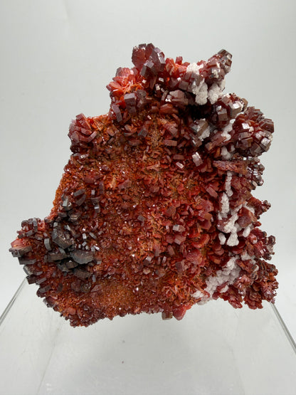 Vanadinite Crystal Specimen. Large High Quality Crystal Cluster. Gorgeous Mineral Specimen From Morocco
