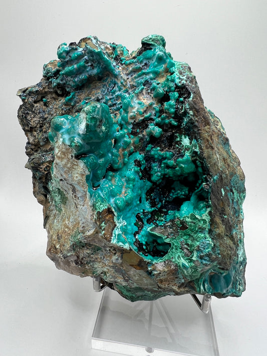 Silica Chrysocolla Specimen. Very Rare Display Crystal. High Quality Botryoidal Bubblegum Chrysocolla, Malachite, And Heterogenite.