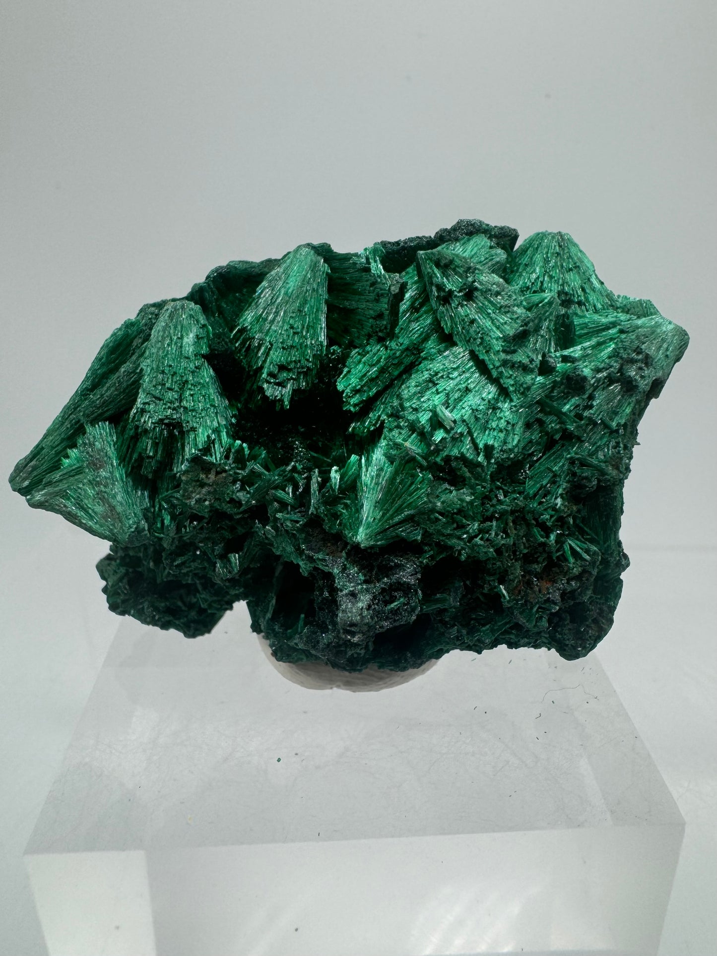 Malachite Display Specimen. Silky Malachite Cluster. High Quality Velvet Malachite From The Congo