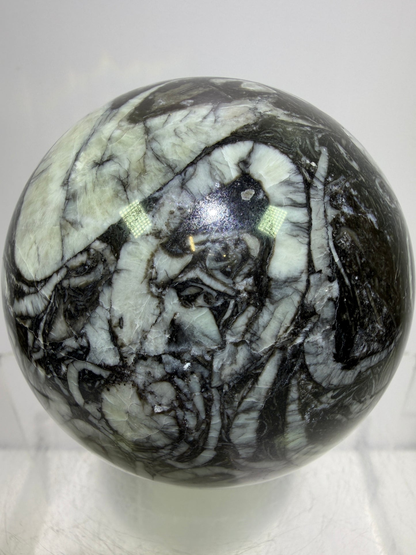 Black Crinoid Fossil Sphere: 66mm. High Quality Rare Crystal Sphere. Incredible One Of A Kind Display Sphere.