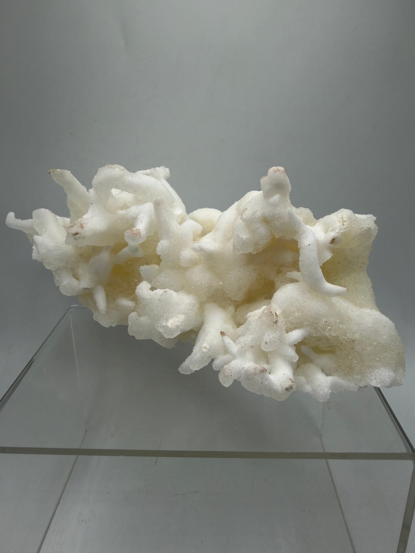 Calcite Helectite Crystal Specimen. Rare Amazing Cave Calcite Formation. High Quality Unique Mineral Display