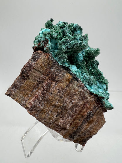 Chrysocolla And Malachite Specimen. High Quality Druzy Chrysocolla From Likasi, Congo. Gorgeous Color Display Crystal.