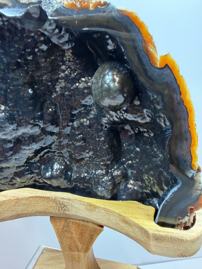 Botryoidal Black Jasper Specimen. Very Rare Geode From Brazil. High Quality Crystal With Custom Stand