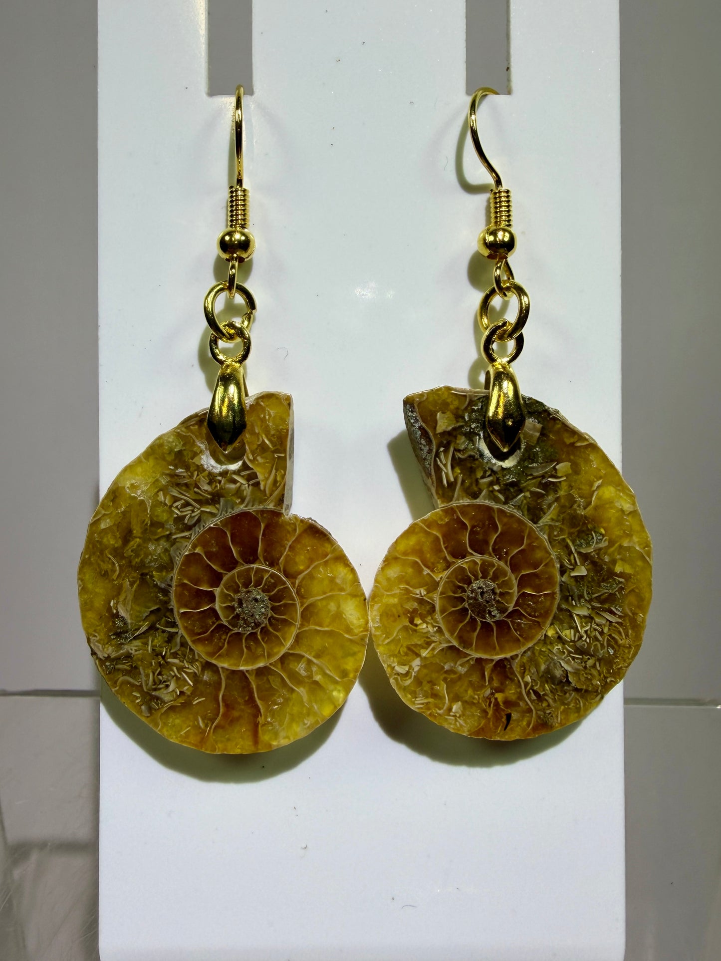 Ammonite Crystal Earrings. Amazing One Of A Kind Jewelry. High Quality Ammonite Pair