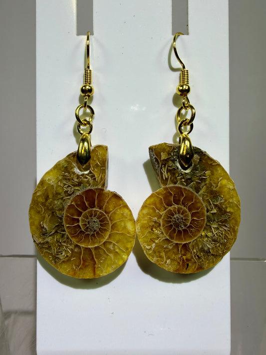 Ammonite Crystal Earrings. Amazing One Of A Kind Jewelry. High Quality Ammonite Pair