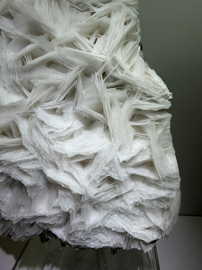 White Rose Bladed Calcite. Extra Large Angel Wing Calcite Specimen. High Quality UV Statement Piece.