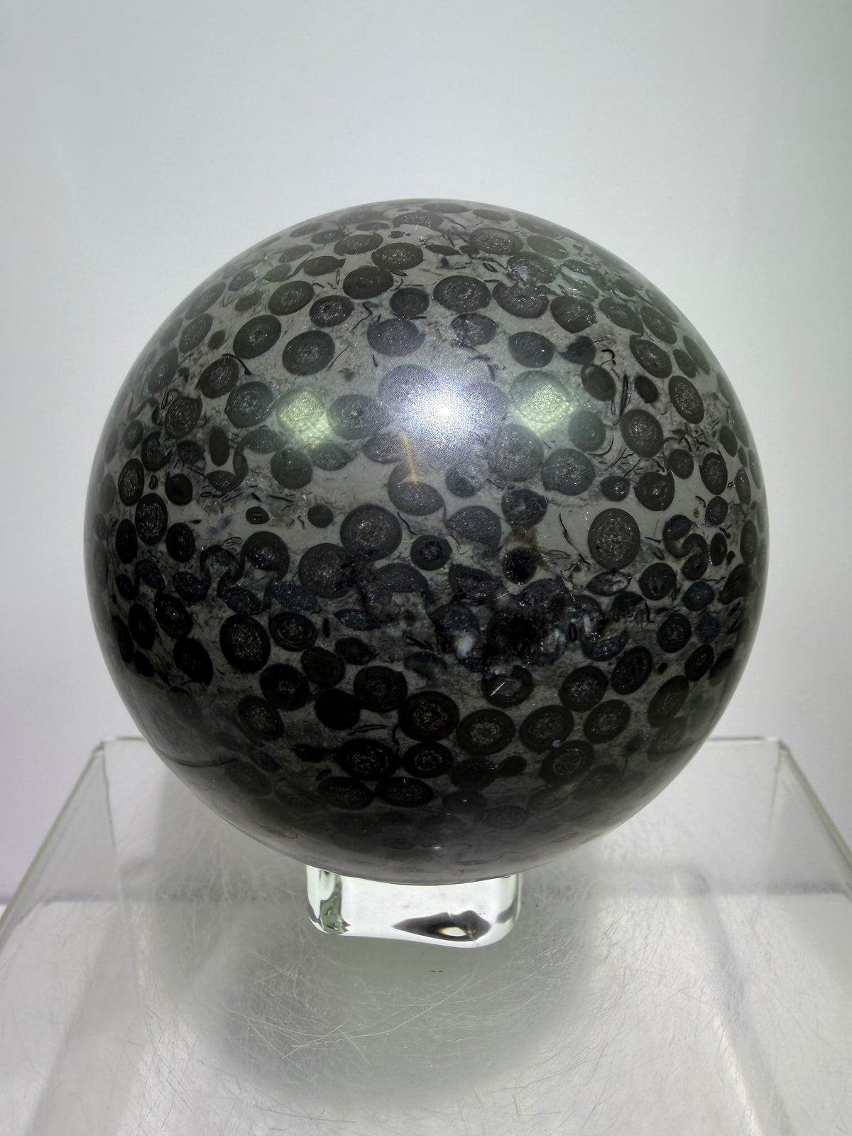 Leopardskin Jasper Sphere. 79mm. Gorgeous And Realistic Leopard Cheetah Patterns. Very Pretty Display Crystal