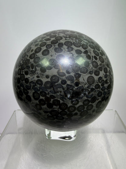 Leopardskin Jasper Sphere. 79mm. Gorgeous And Realistic Leopard Cheetah Patterns. Very Pretty Display Crystal