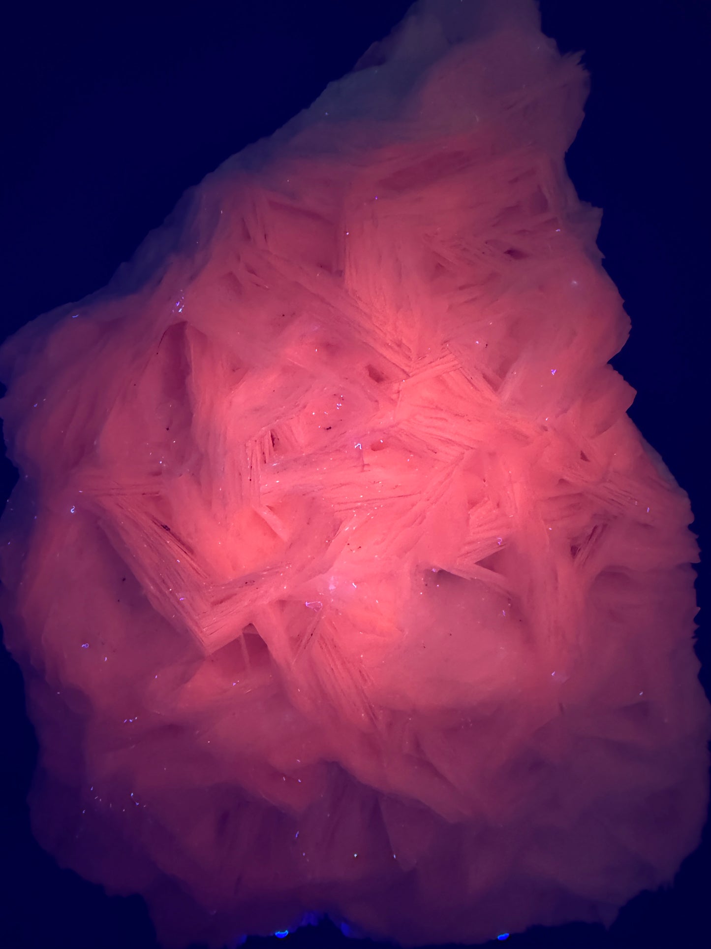 White Rose Bladed Calcite. Extra Large Angel Wing Calcite Specimen. High Quality UV Statement Piece.