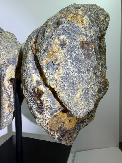 Agate Geode Wings From Brazil. Gorgeous Large Split Geode On A Custom Stand. Amazing Druzy Display Crystal