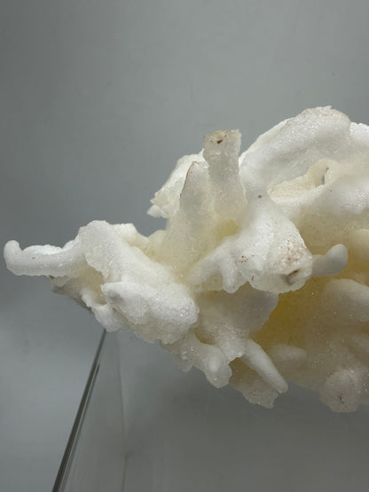 Calcite Helectite Crystal Specimen. Rare Amazing Cave Calcite Formation. High Quality Unique Mineral Display