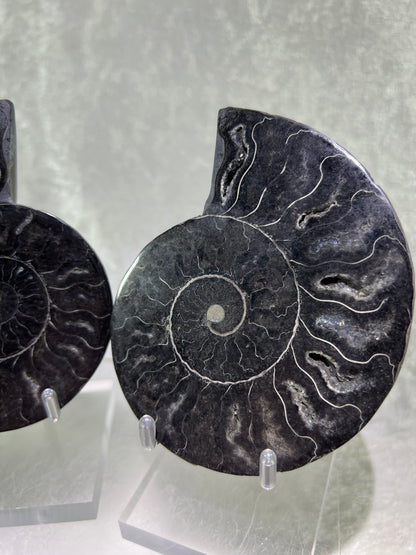Black Ammonite Display Pair. Gorgeous Rare Fossil Specimen From Madagascar. Split And Polished With Amazing Druzy.