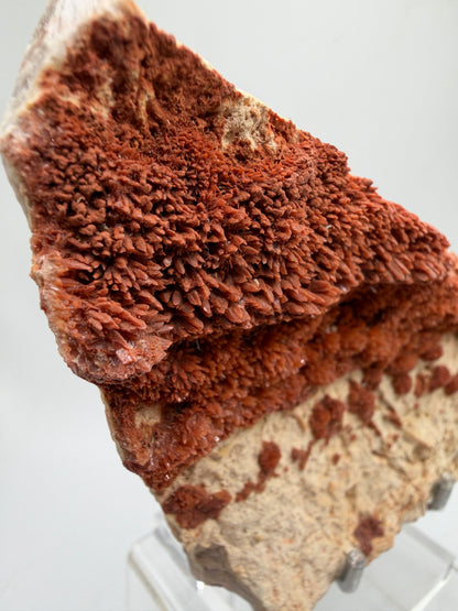 Orange Red Dogtooth Calcite Specimen. Stunning Dogtooth Flower Clusters. High Quality Rare Specimen