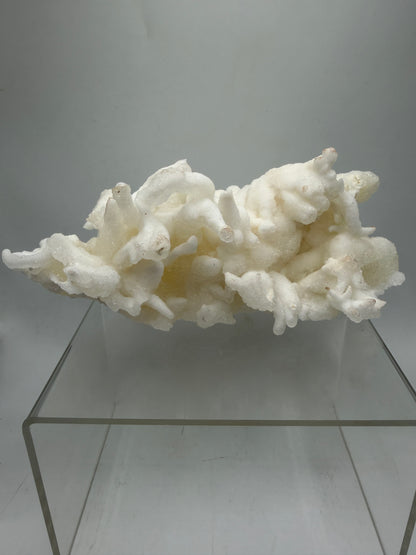 Calcite Helectite Crystal Specimen. Rare Amazing Cave Calcite Formation. High Quality Unique Mineral Display