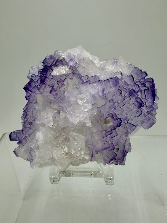 Muzquiz Purple Fluorite Specimen. Rare Mexican Fluorite Specimen. Gorgeous Collectible Display Crystal