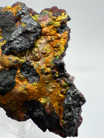 Turgite From Chihuahua, Mexico. Stunning Iridescent Rainbow Flash. Amazing Hematite Goethite Mineral Specimen.