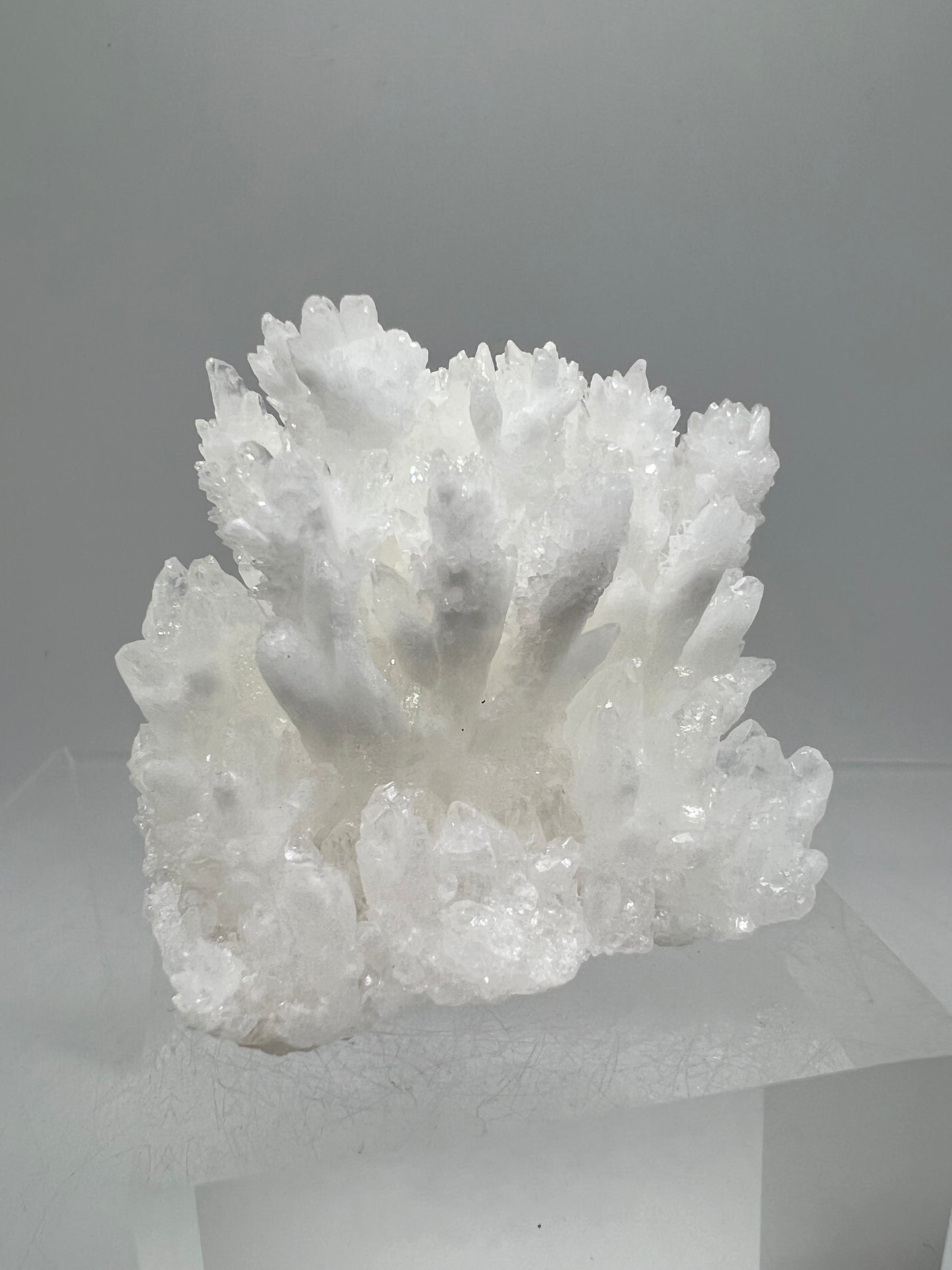 White Aragonite Crystal Specimen. Amazing Cave Calcite From Mexico.