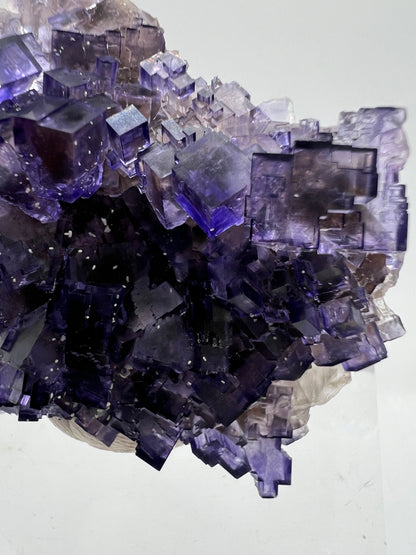 Muzquiz Purple Fluorite Specimen. High Quality Mexican Fluorite Specimen. Gorgeous Collectible Display Crystal