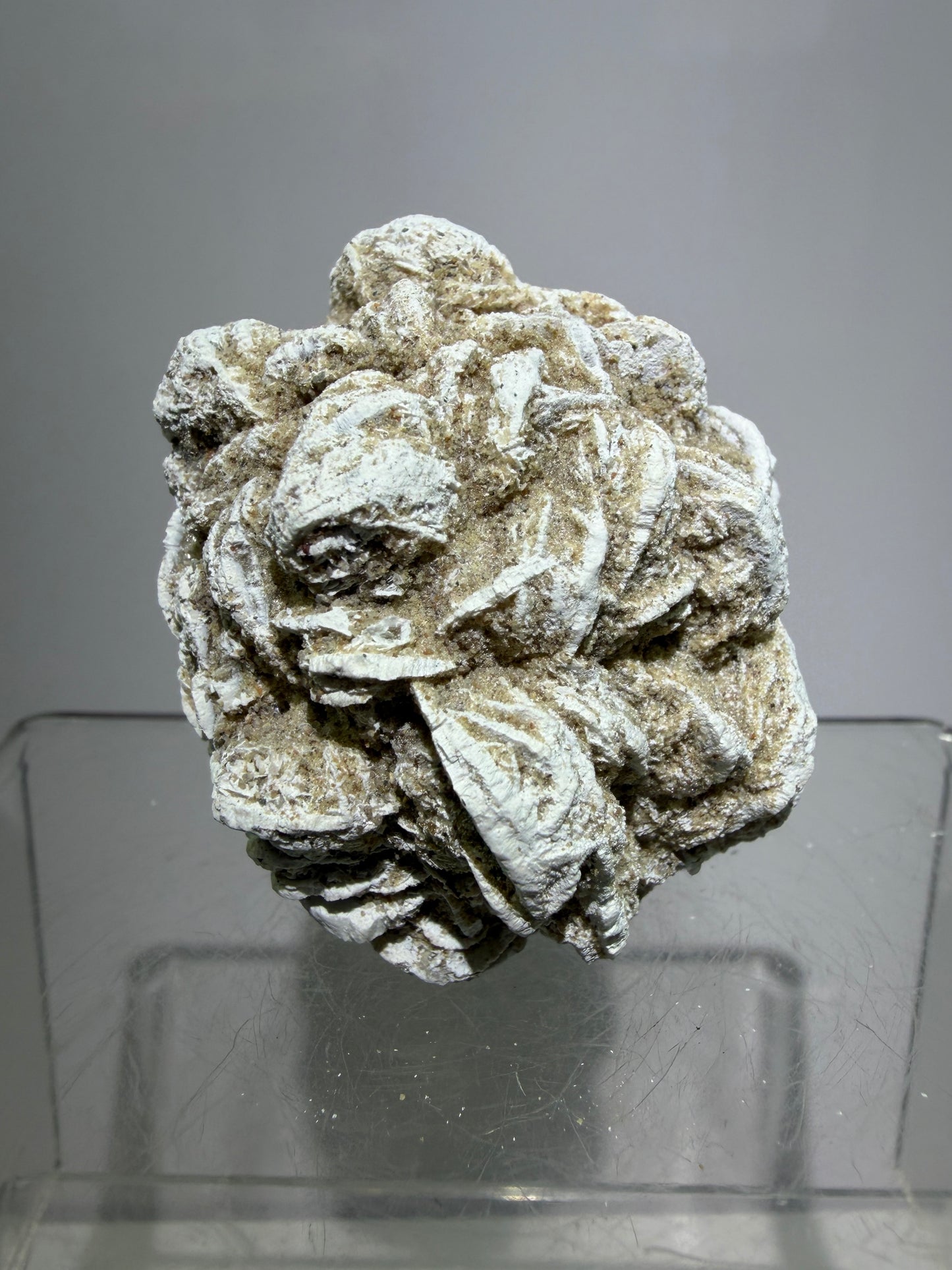 Selenite Desert Rose Specimen. Very Unique Gypsum Cluster.