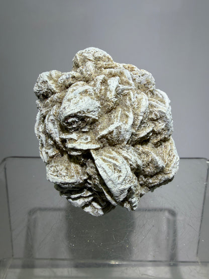 Selenite Desert Rose Specimen. Very Unique Gypsum Cluster.