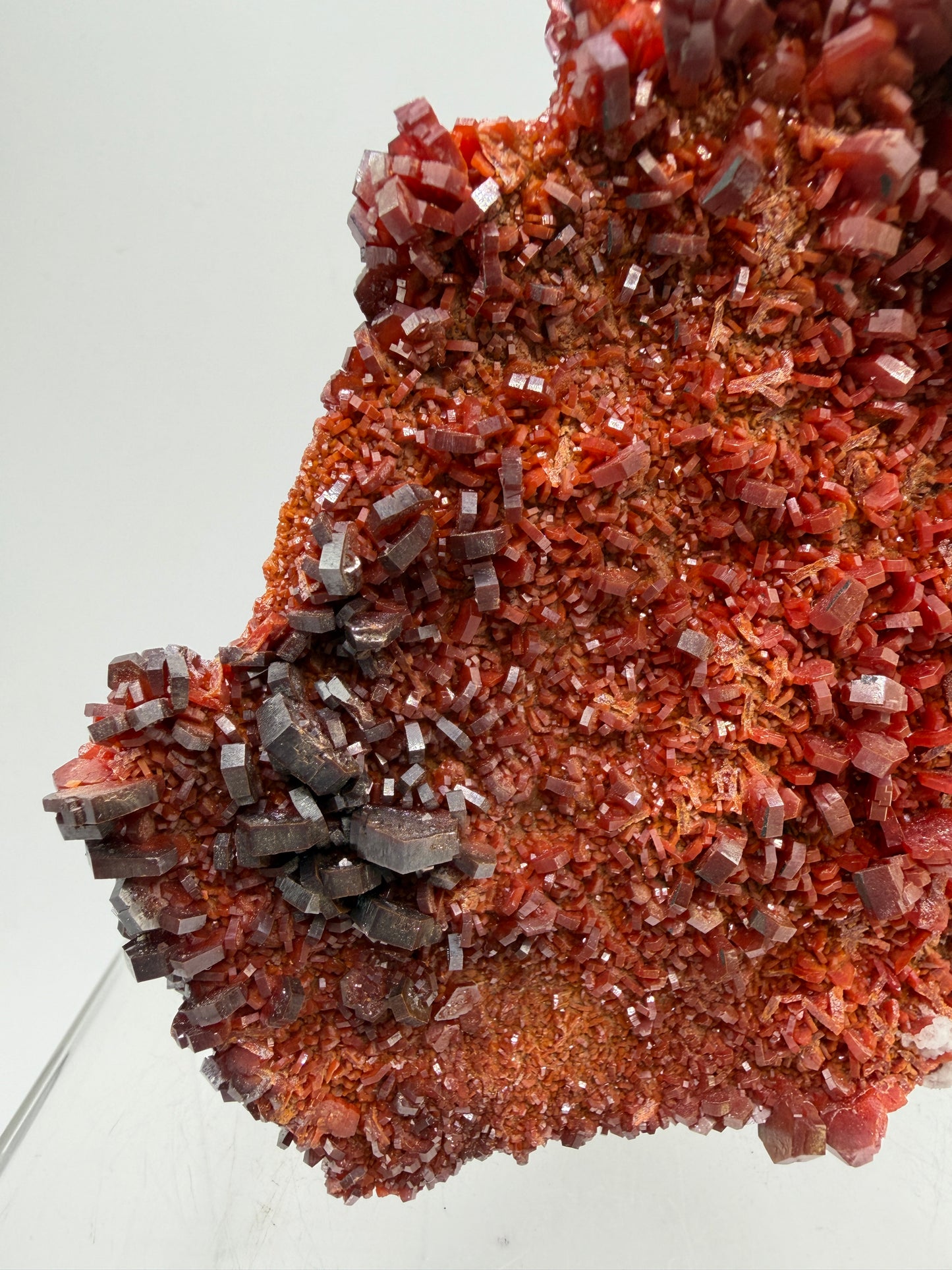 Vanadinite Crystal Specimen. Large High Quality Crystal Cluster. Gorgeous Mineral Specimen From Morocco