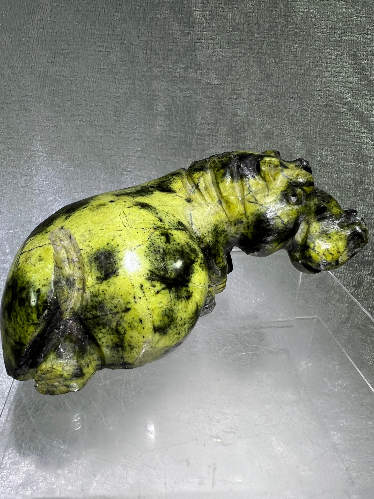 Leopard Stone Hippo Carving. Amazing Crystal Art From Zimbabwe. Incredible Collectors Piece.