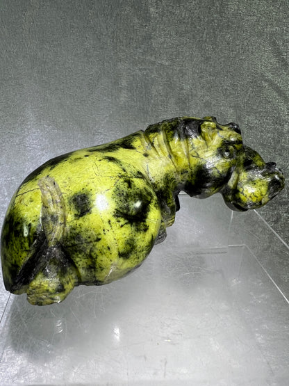 Leopard Stone Hippo Carving. Amazing Crystal Art From Zimbabwe. Incredible Collectors Piece.