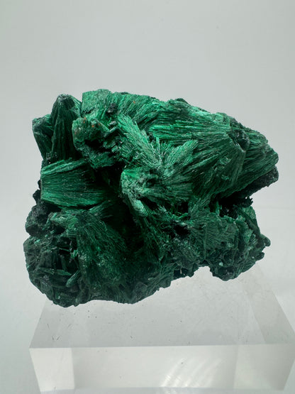 Malachite Display Specimen. Silky Malachite Cluster. High Quality Velvet Malachite From The Congo
