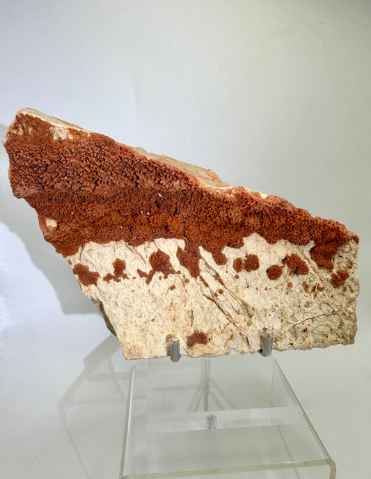 Orange Red Dogtooth Calcite Specimen. Stunning Dogtooth Flower Clusters. High Quality Rare Specimen